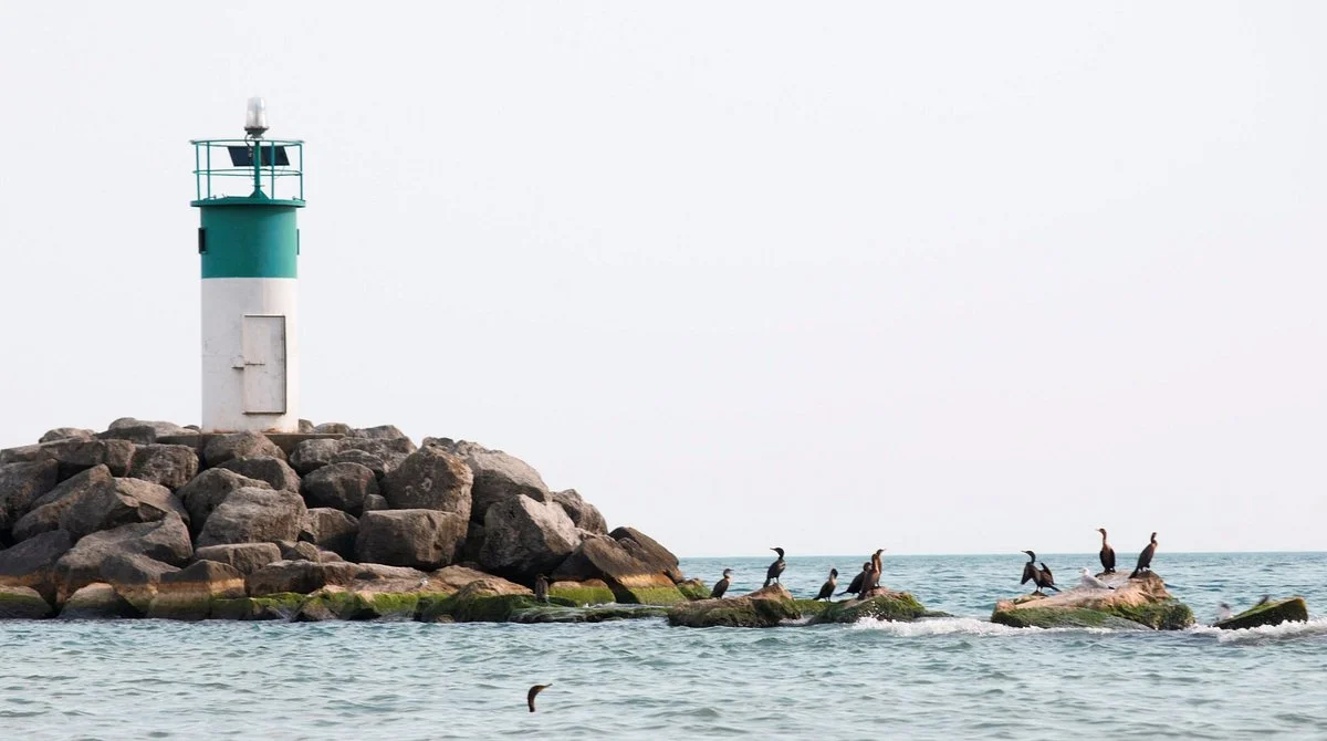 Bowmanville Harbour Conservation Area