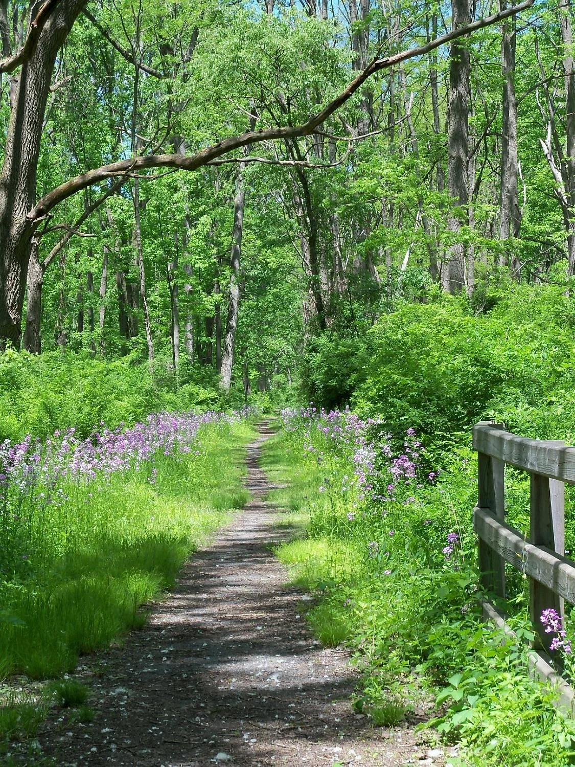 Catharine Valley Trail