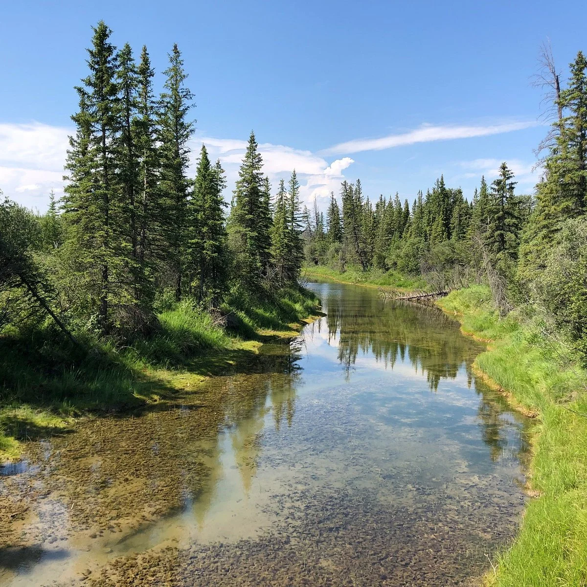 Weaselhead Flats