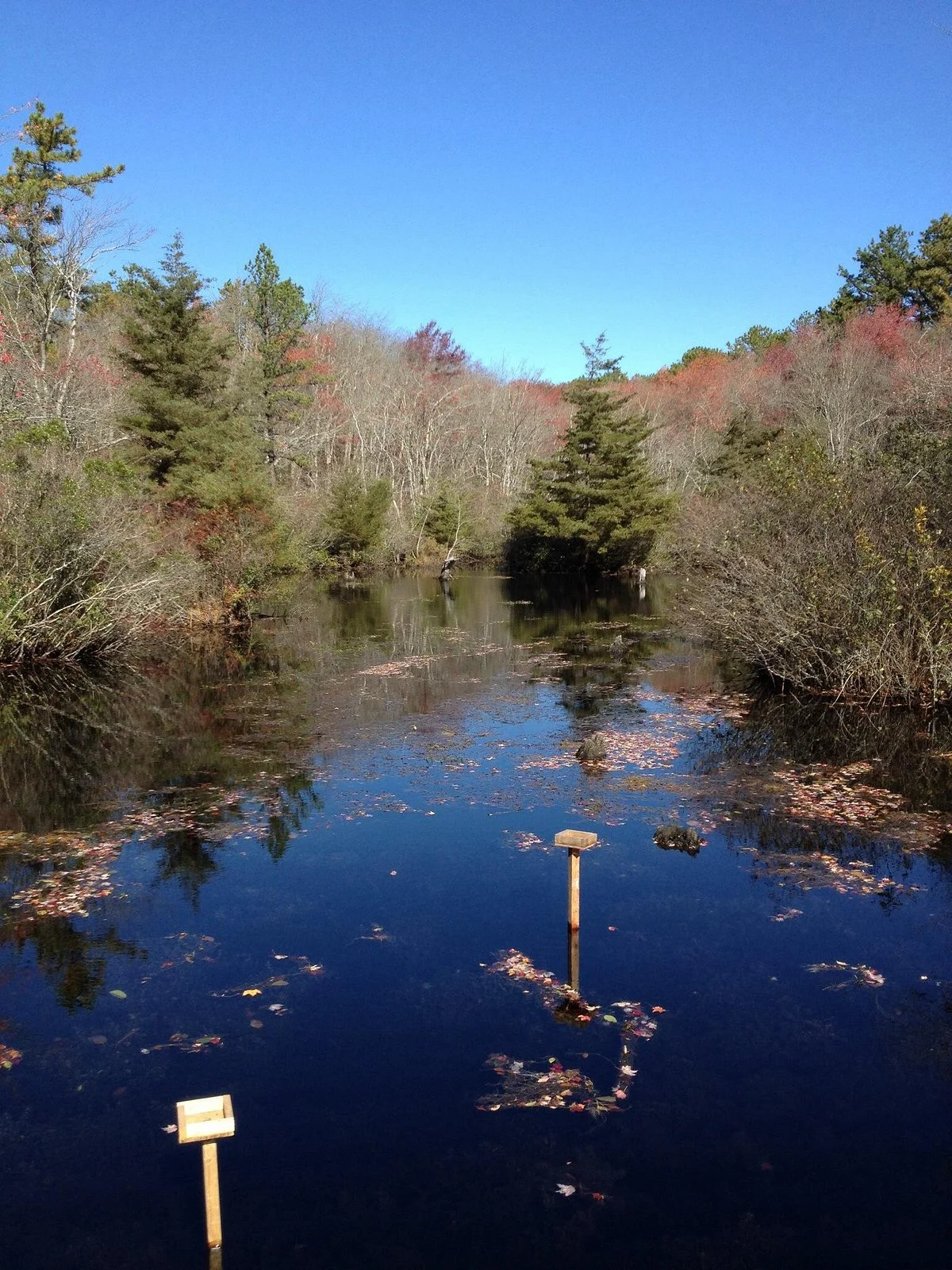 Quogue Wildlife Refuge