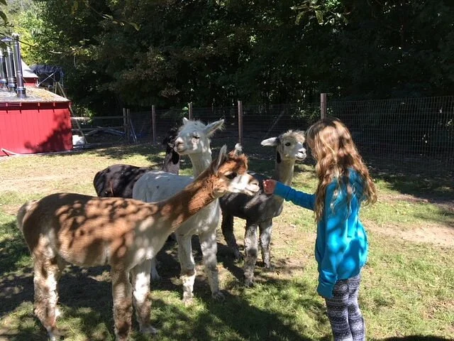 Quissett Hill Farm