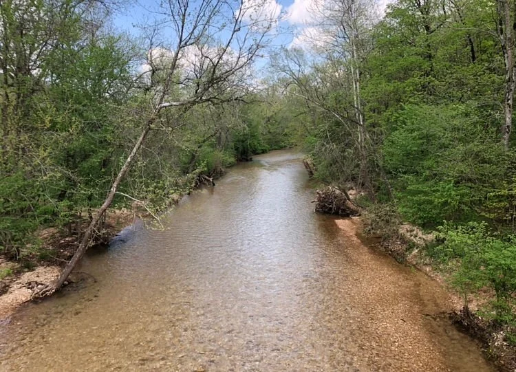 Busiek State Forest Wildlife Area