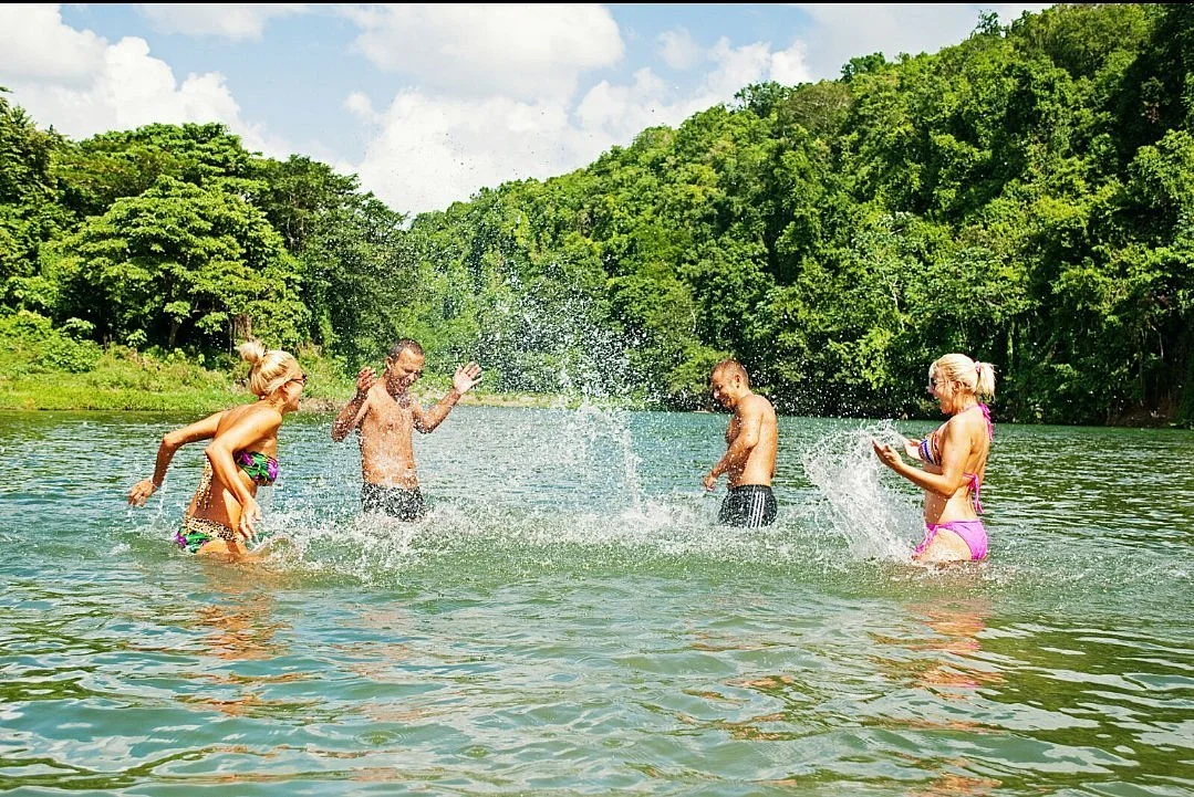 Alphi Tours