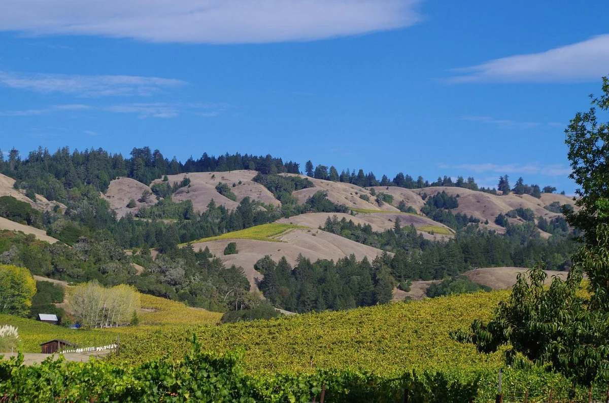 Anderson Valley