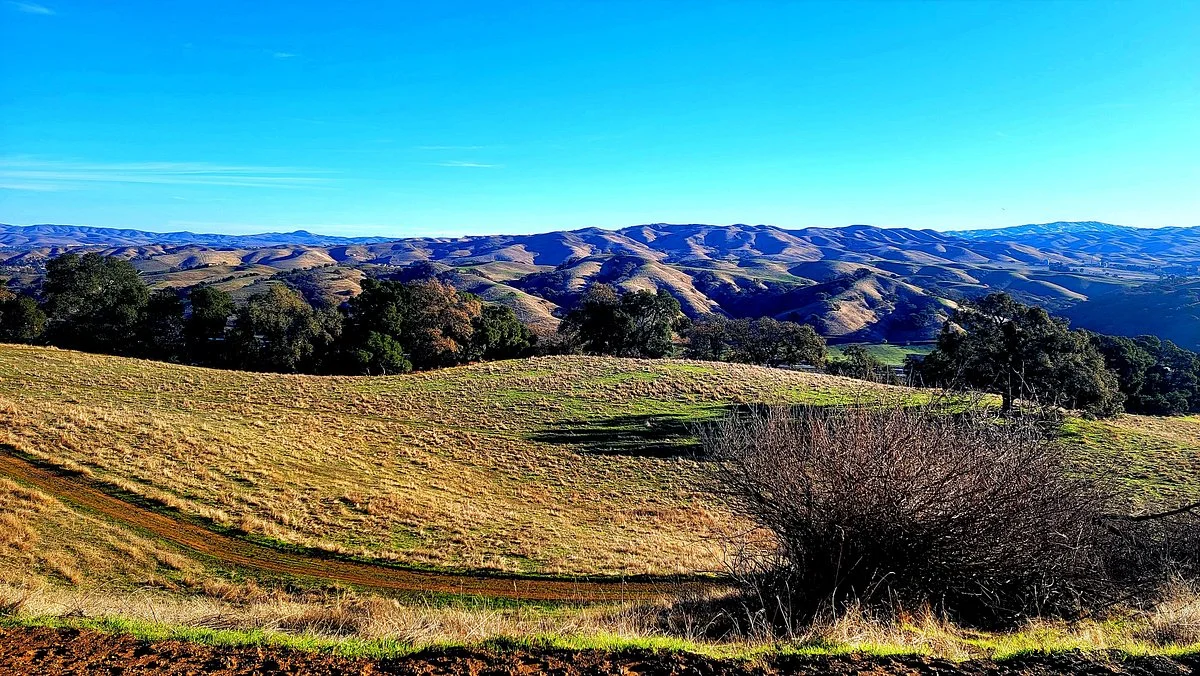 Pleasanton Ridge Regional Park