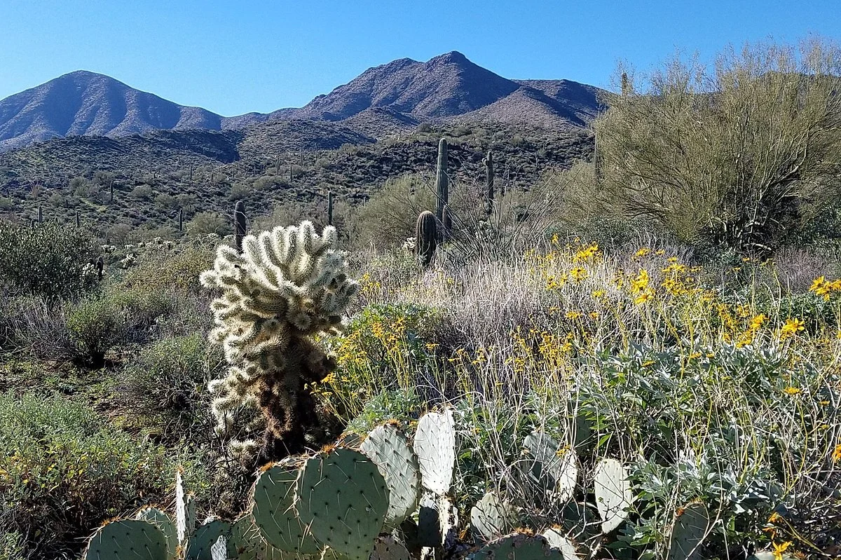 Dixie Mine Trail