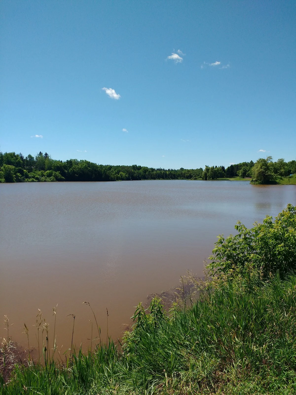 Tottenham Conservation Area