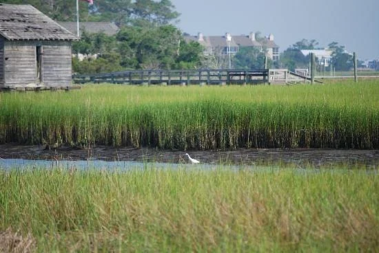 Kent Mitchell Nature Trail