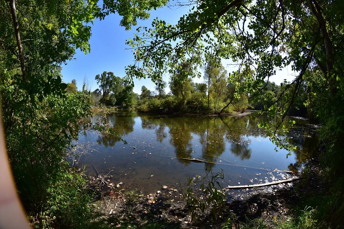 ForMar Nature Preserve