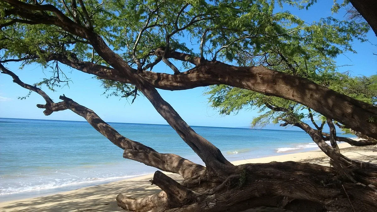 Ukumehame Beach Park