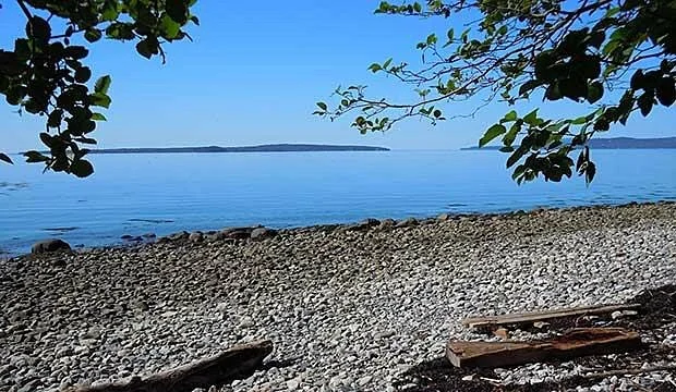Sears Island