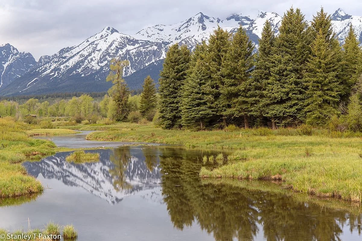 Blacktail Ponds Overlook