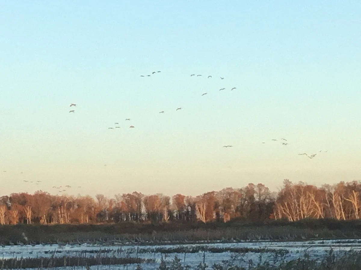 Crex Meadows Wildlife Area