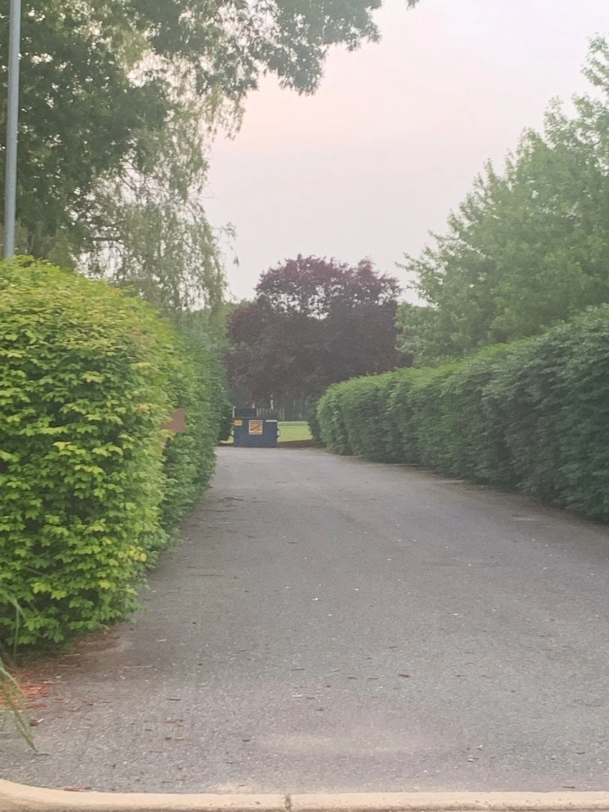 Gille Park