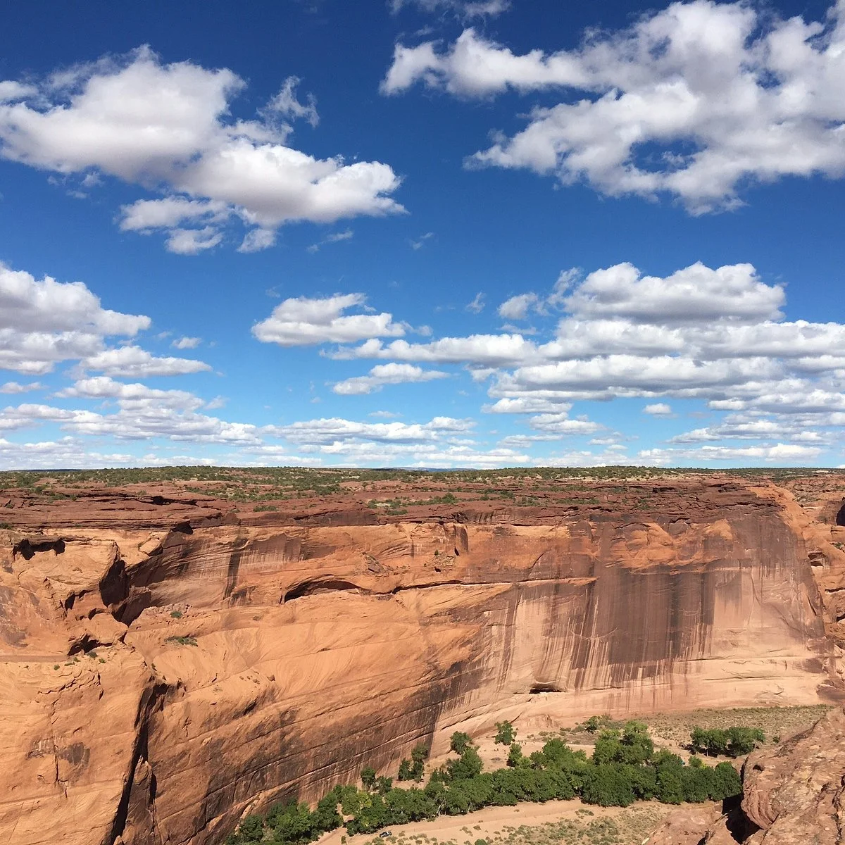 White House Overlook
