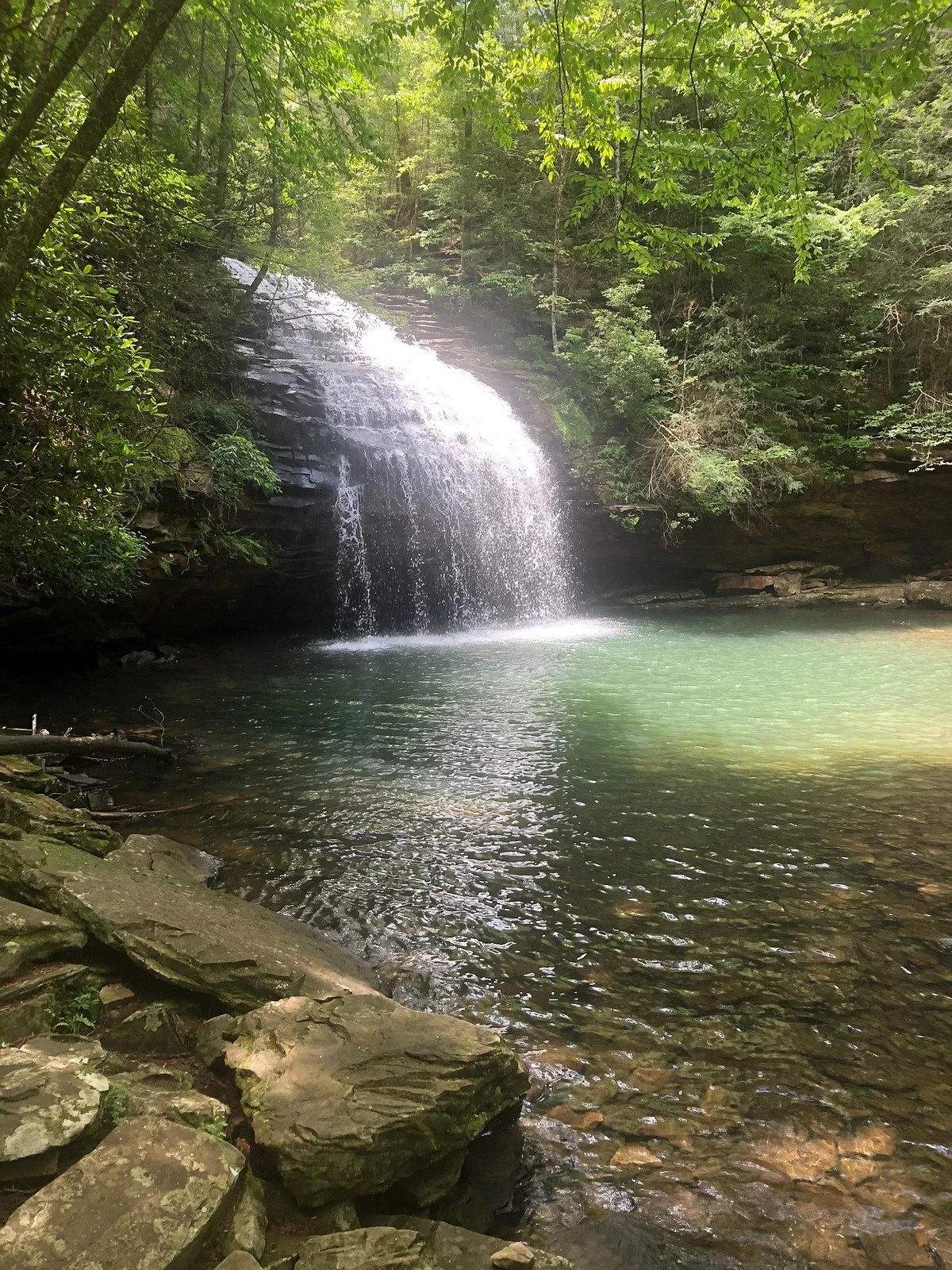 Stinging Fork Falls
