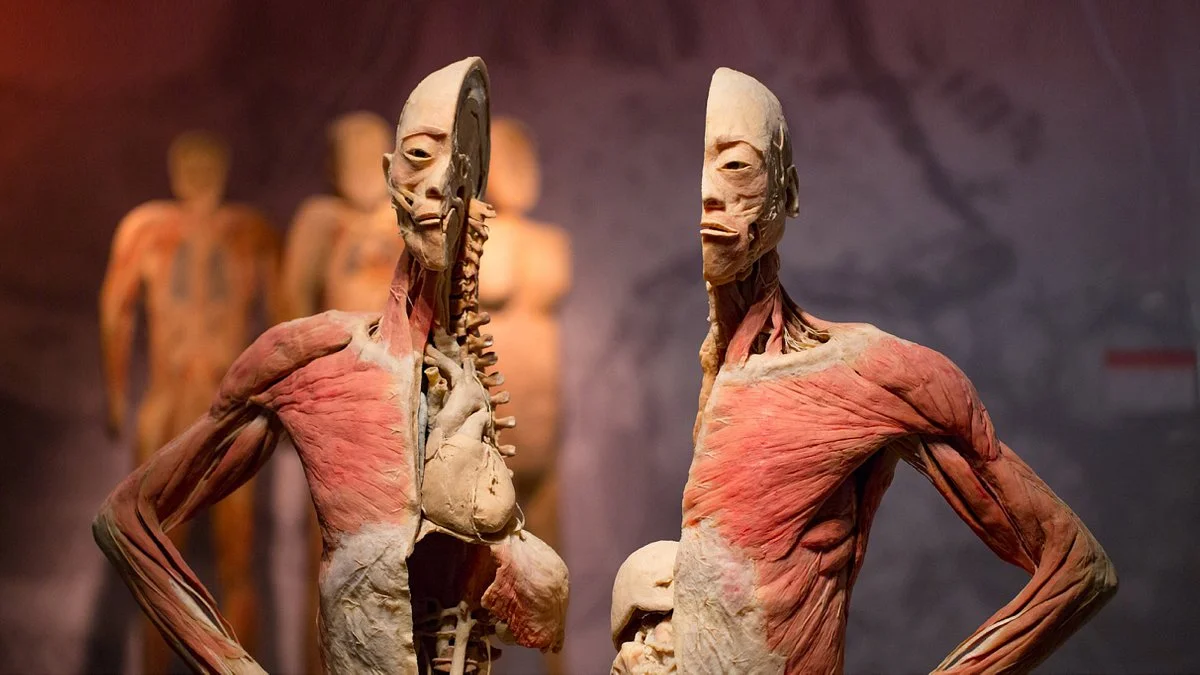 Real Bodies at Bally's