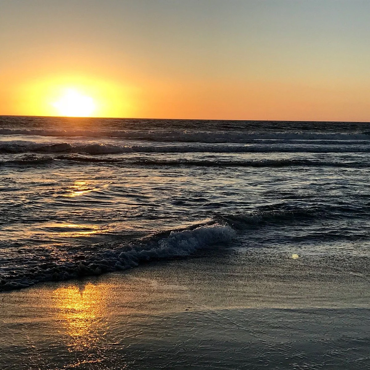 Venice Beach in Half Moon Bay