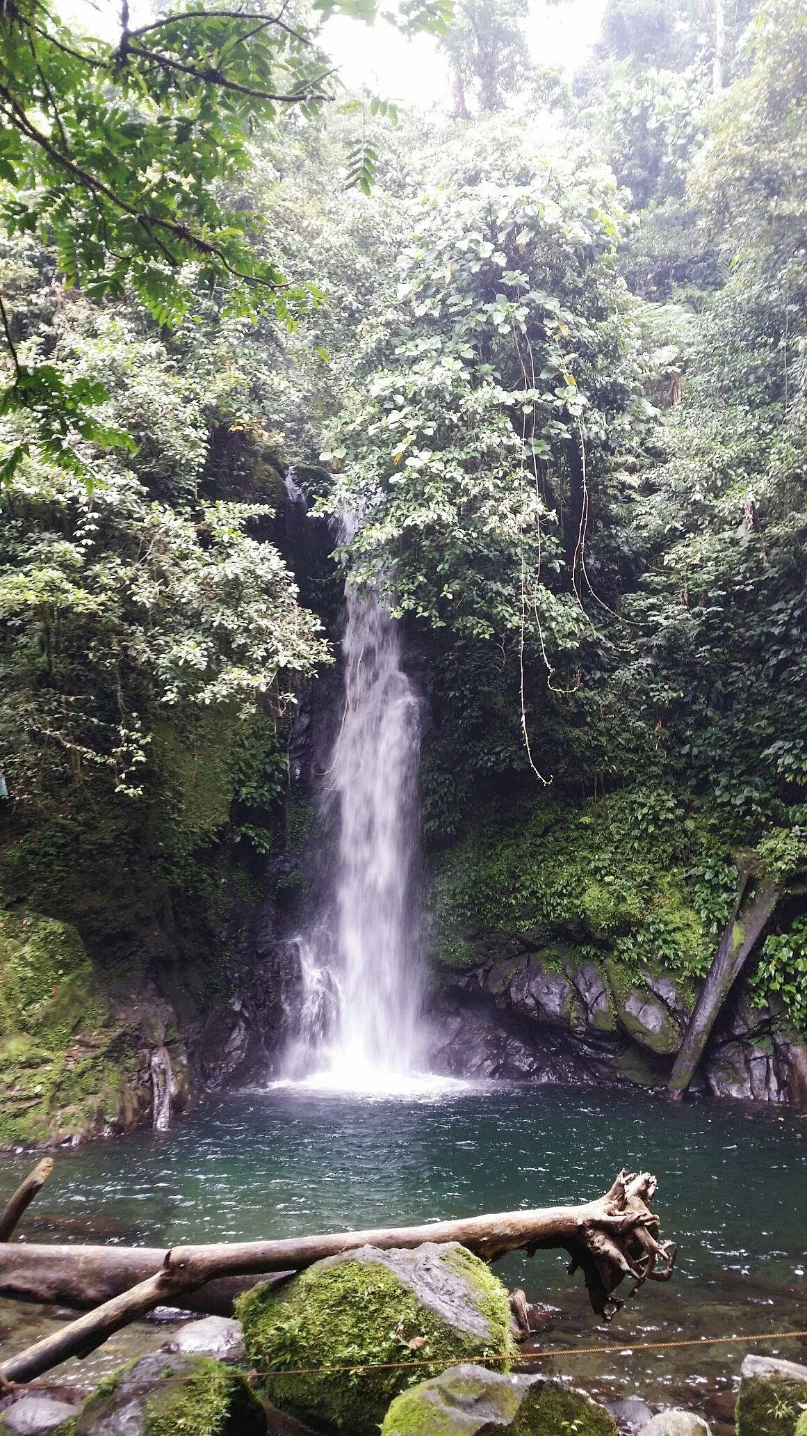 Mt Isarog National Park