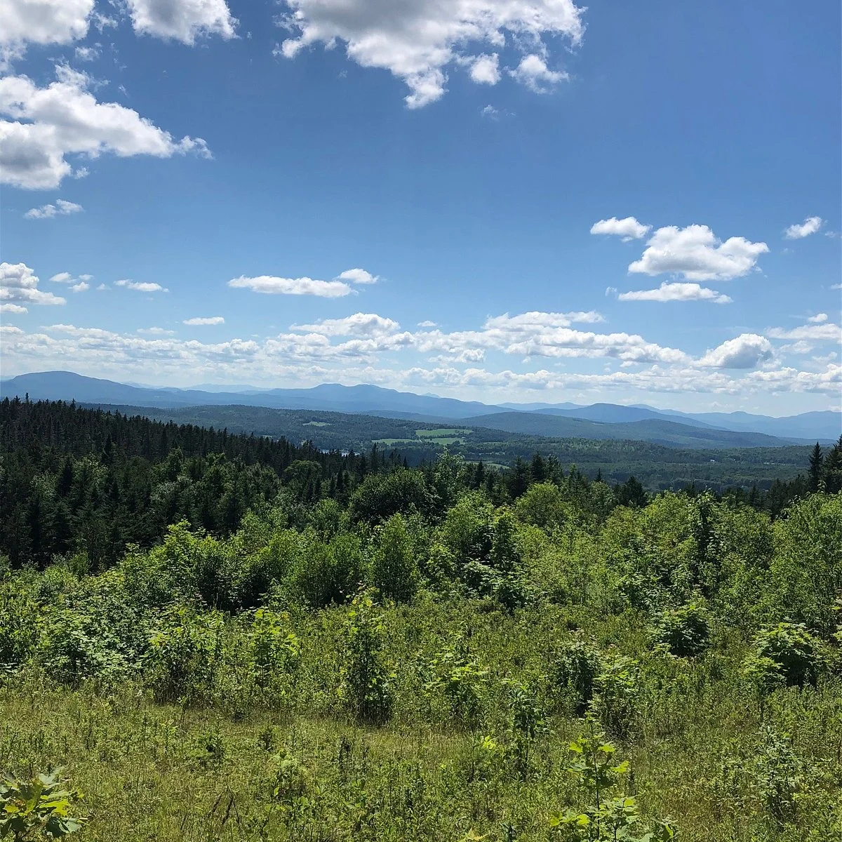 Barr Hill Natural Area