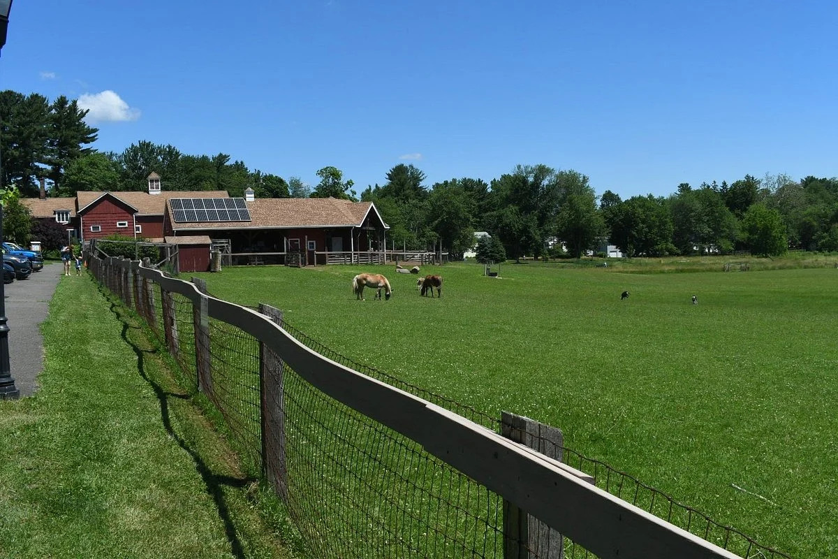 Westmoor Park