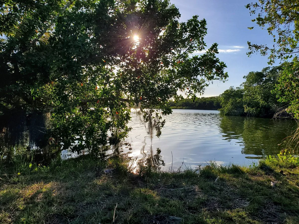 Paurotis Pond