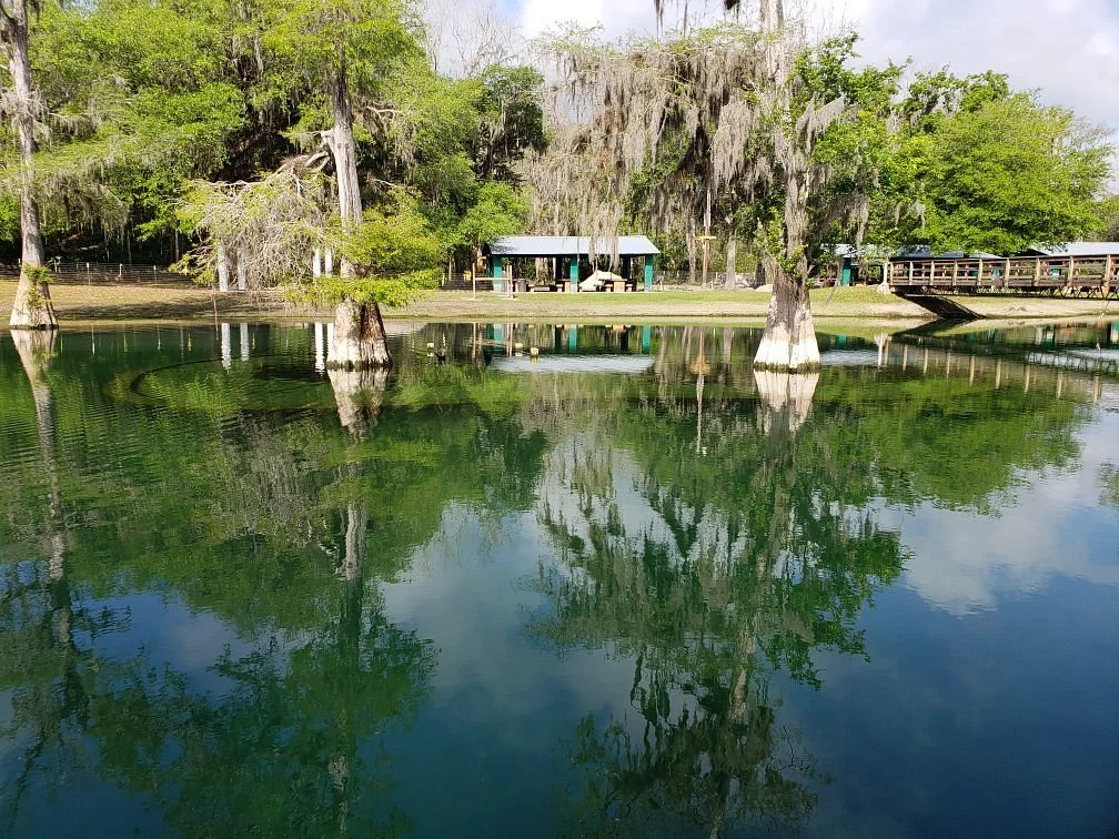 Hart Springs