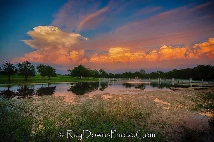 Bluebonnet Park