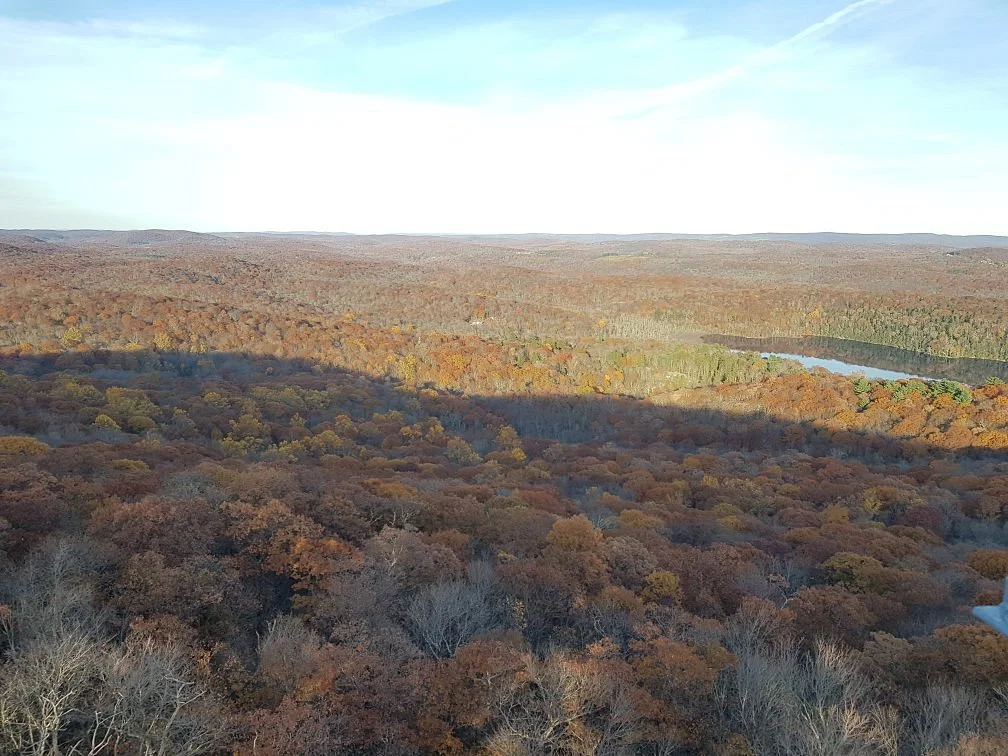 Mt. Ninham Fire Tower