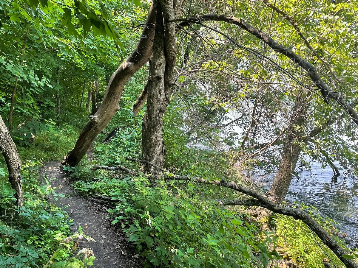 Sakatah Lake State Park
