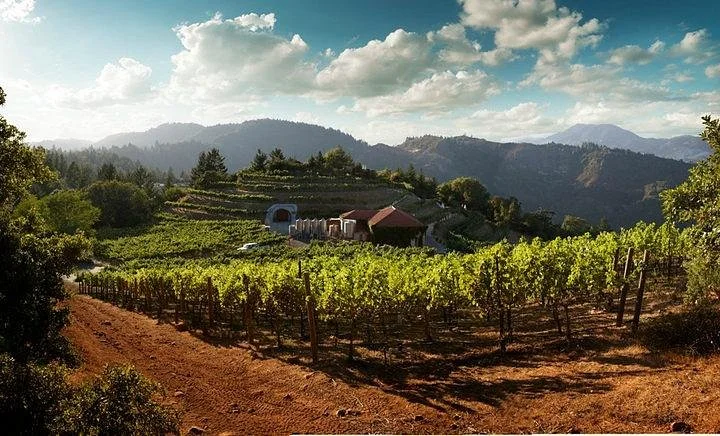 Barnett Vineyards