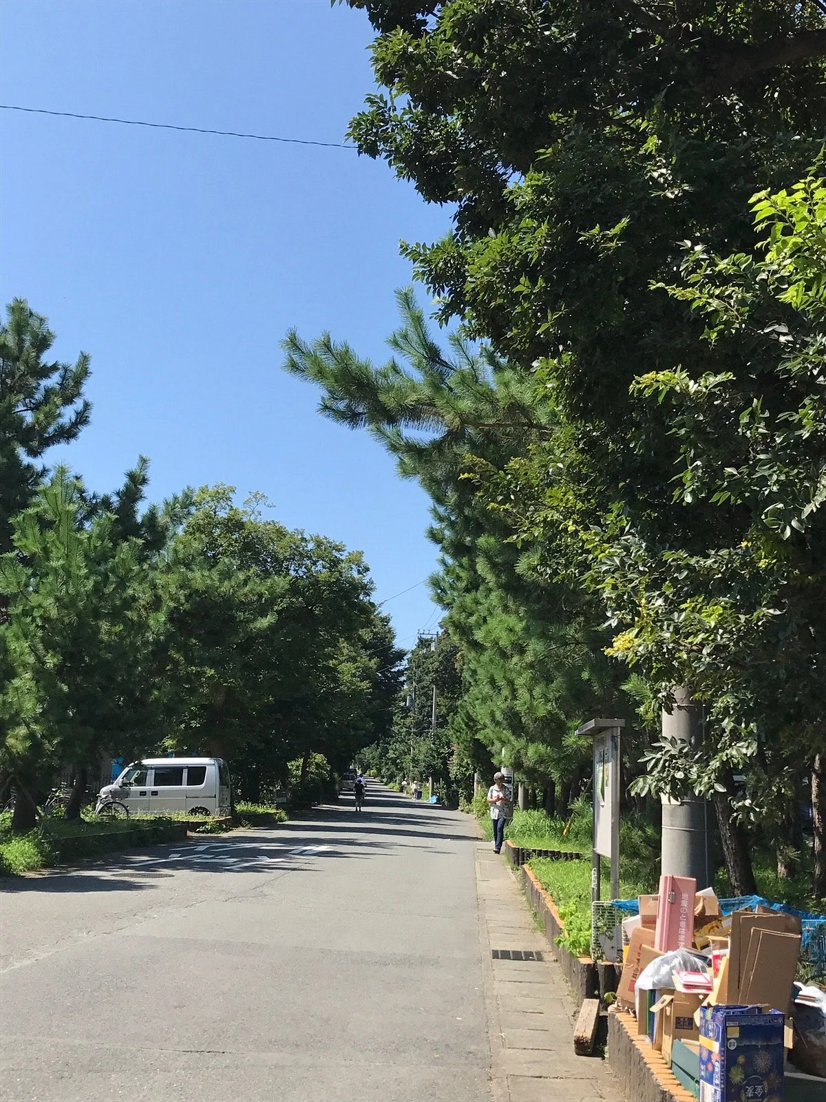 Pine Tree-lined Former Tokai Road