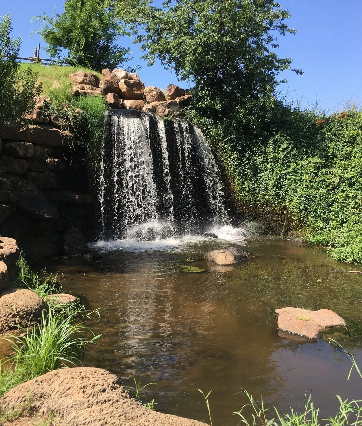 Coleman Park