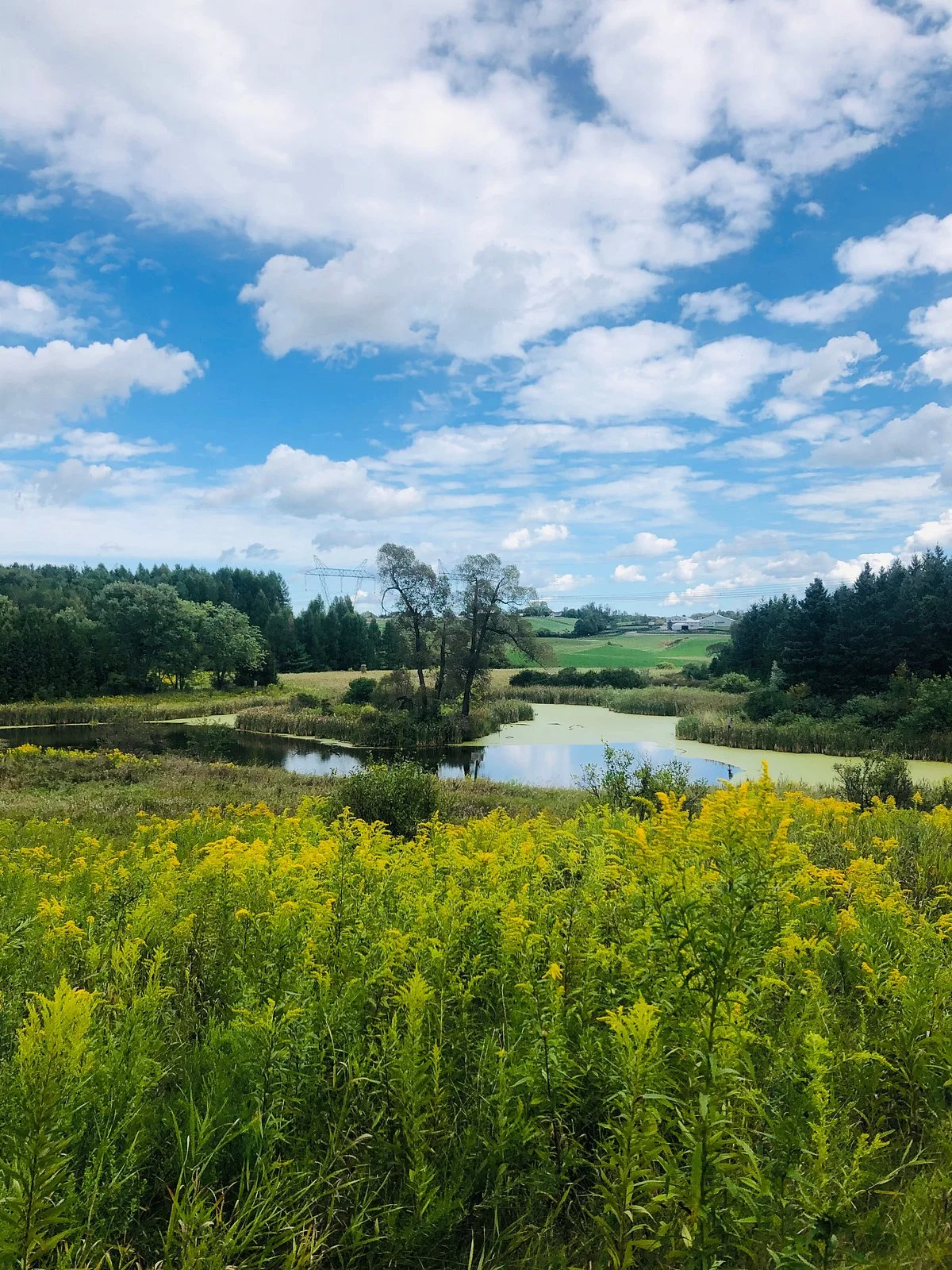 Cold Creek Conservation Area