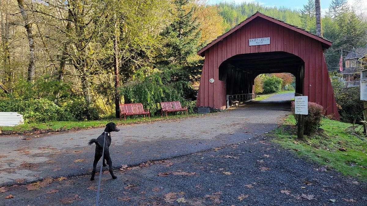 Drift Creek Covered Bridge