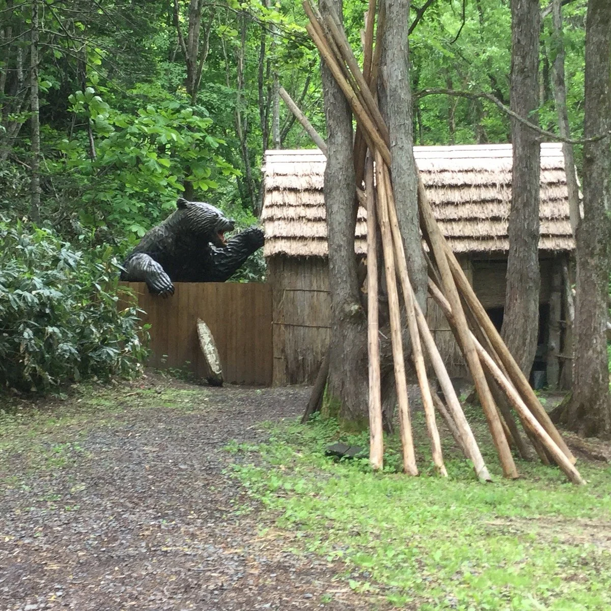 Sankebetsu Brown Bear Incident Fukugen Genchi