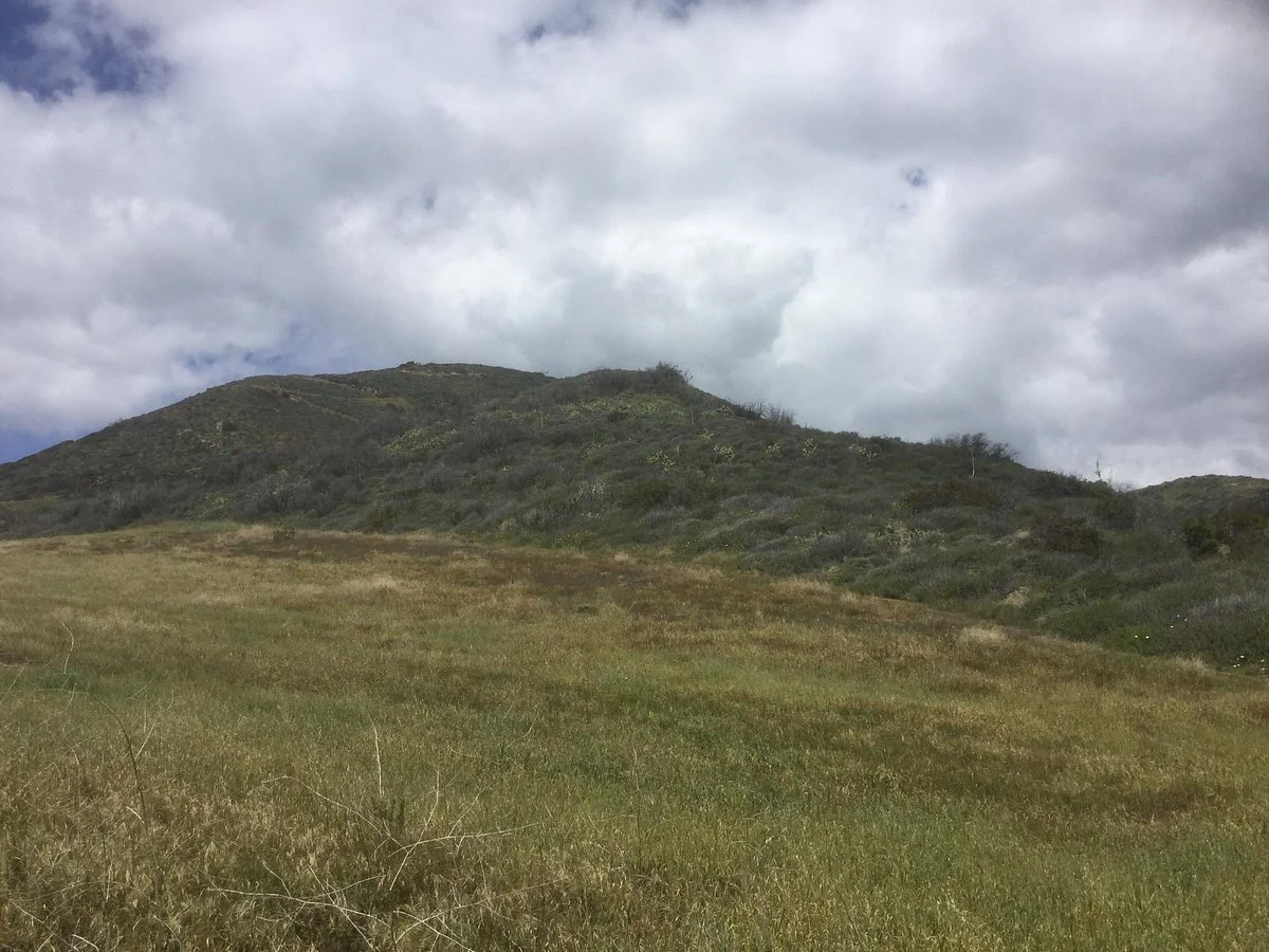 Nicholas Flat Trail