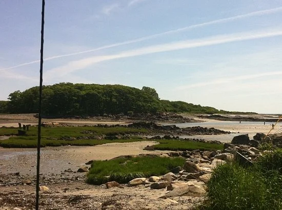 Vaughn's Island Preserve