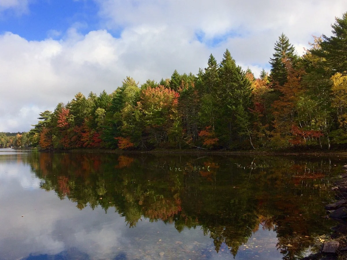 Fancy Lake Provincial Park