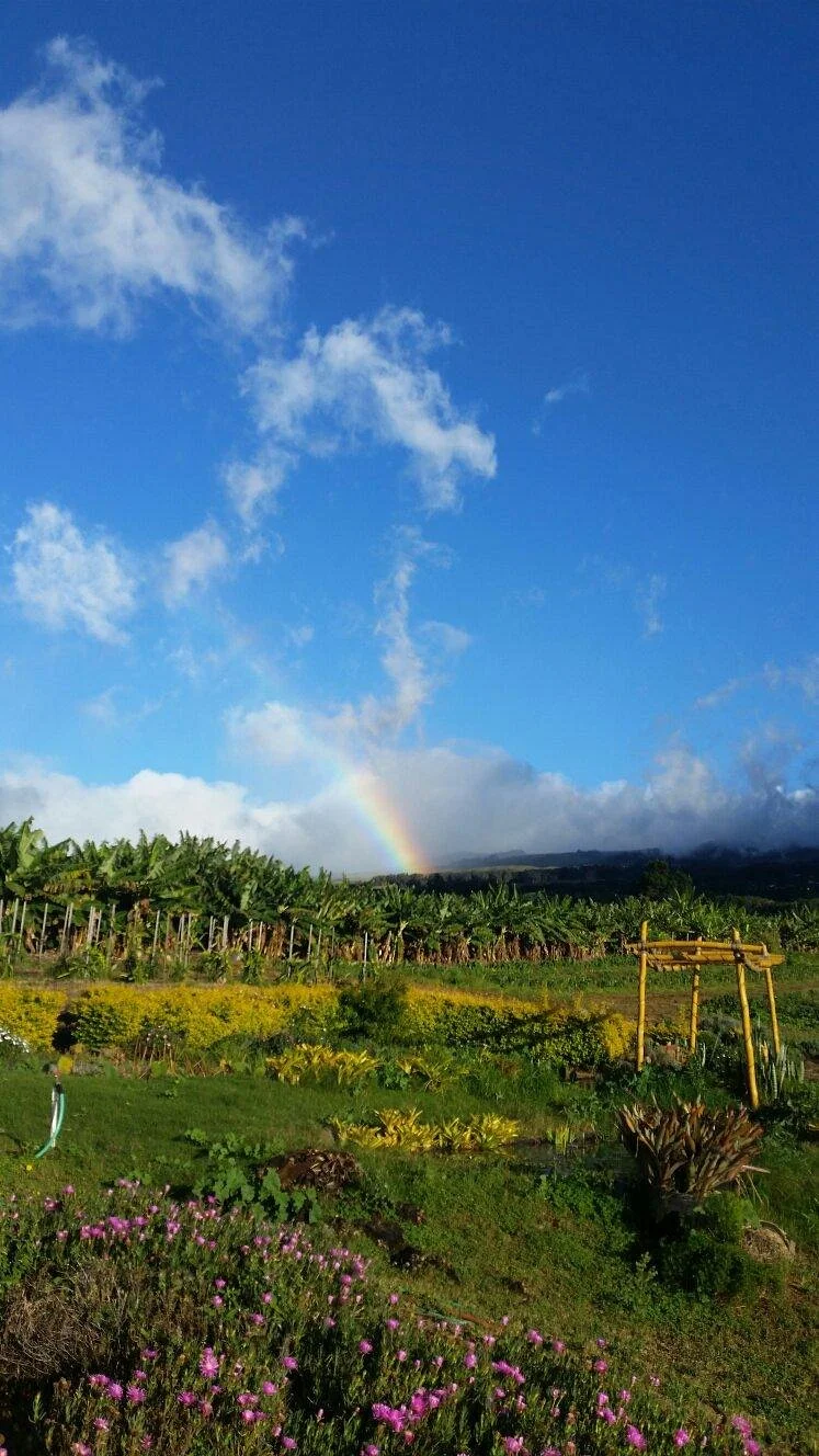 Maui Nui Farm