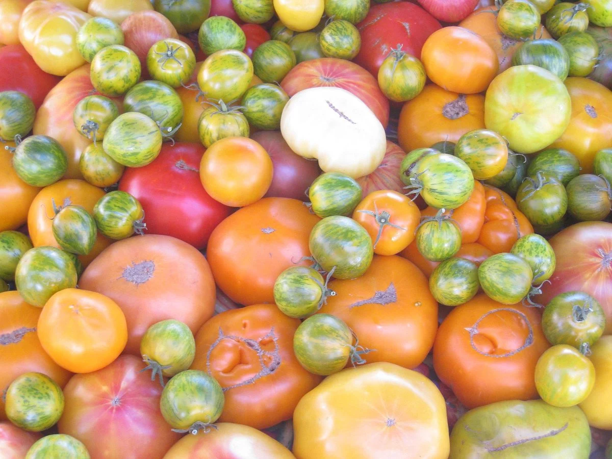 Downtown Novato Farmer's Market