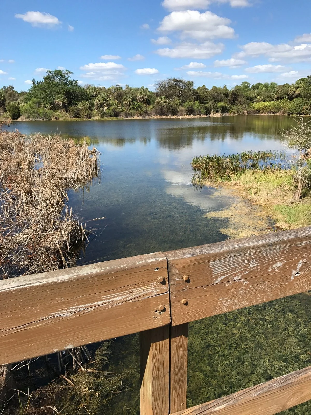 Daggerwing Nature Center