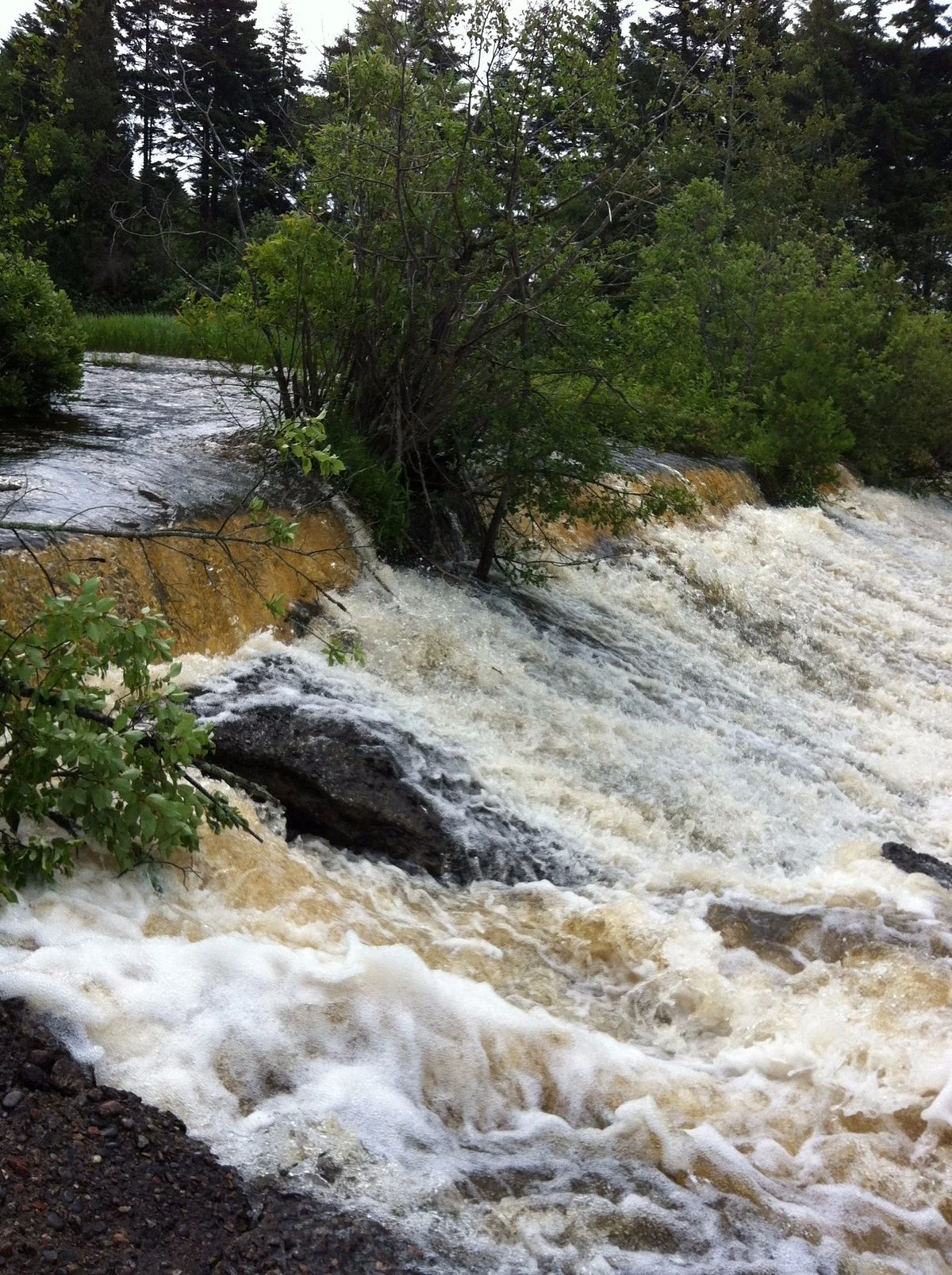 Little River Reservoir Park