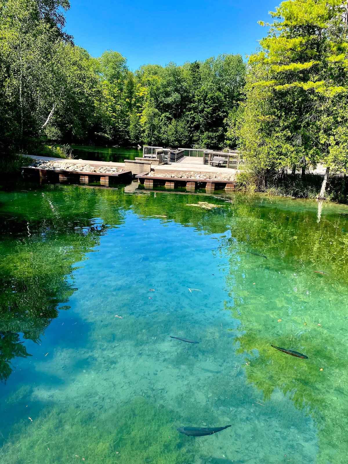 The Oden State Fish Hatchery