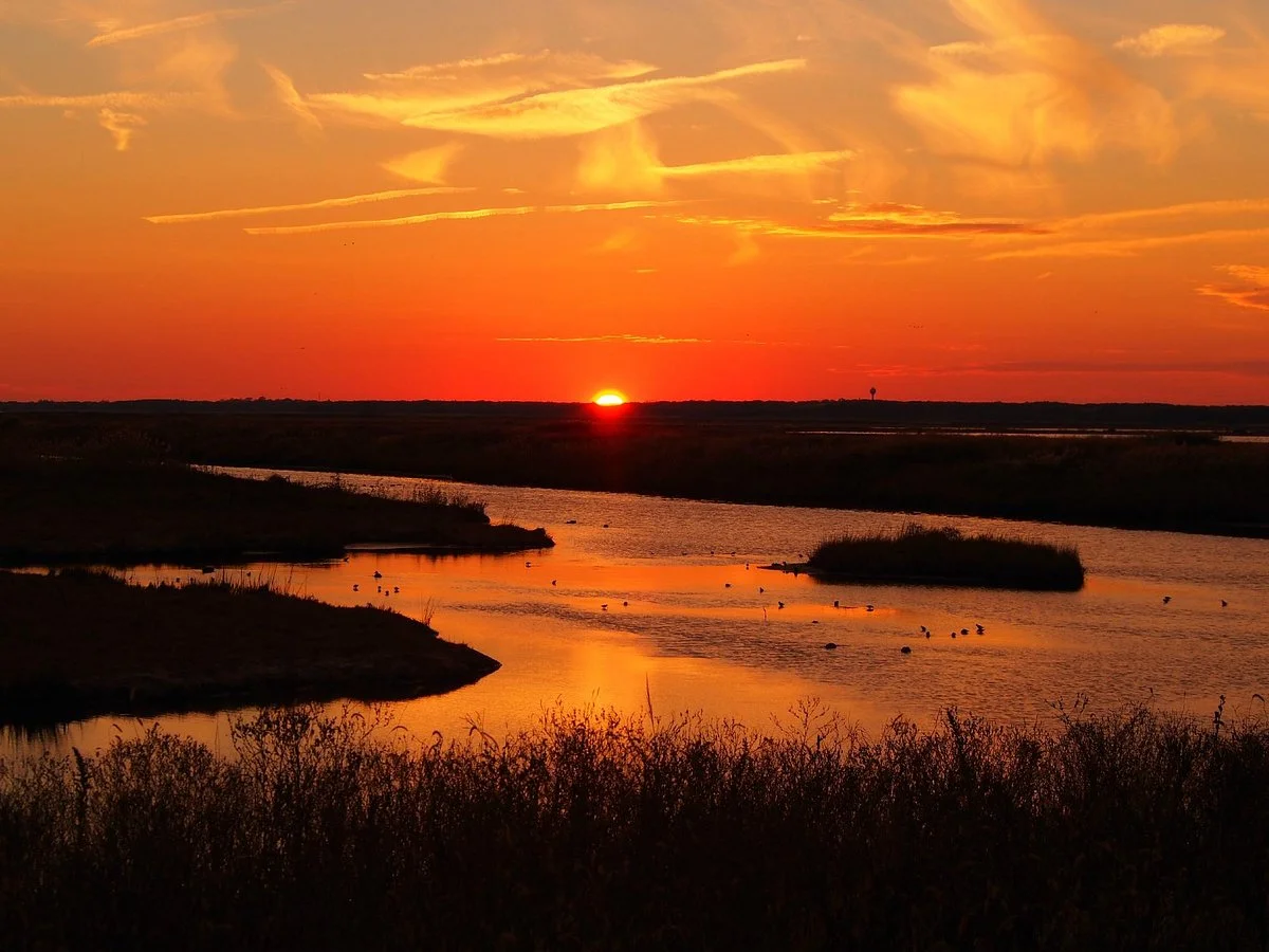 Edwin B. Forsythe National Wildlife Refuge
