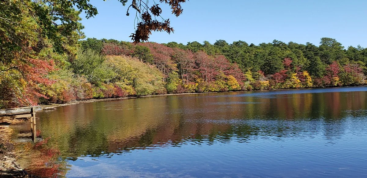 Flax Pond Conservation Area