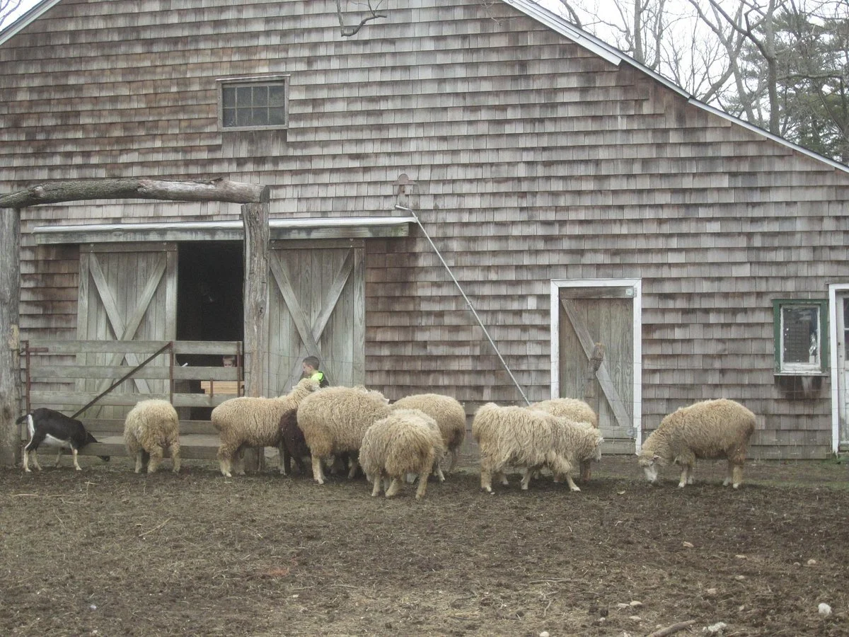 Benner's Farm