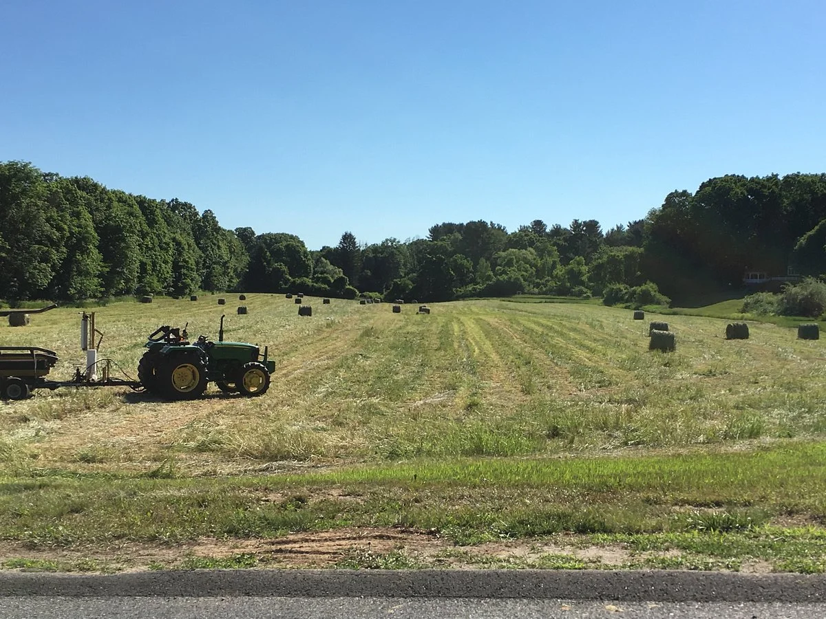 Mainstone Farm