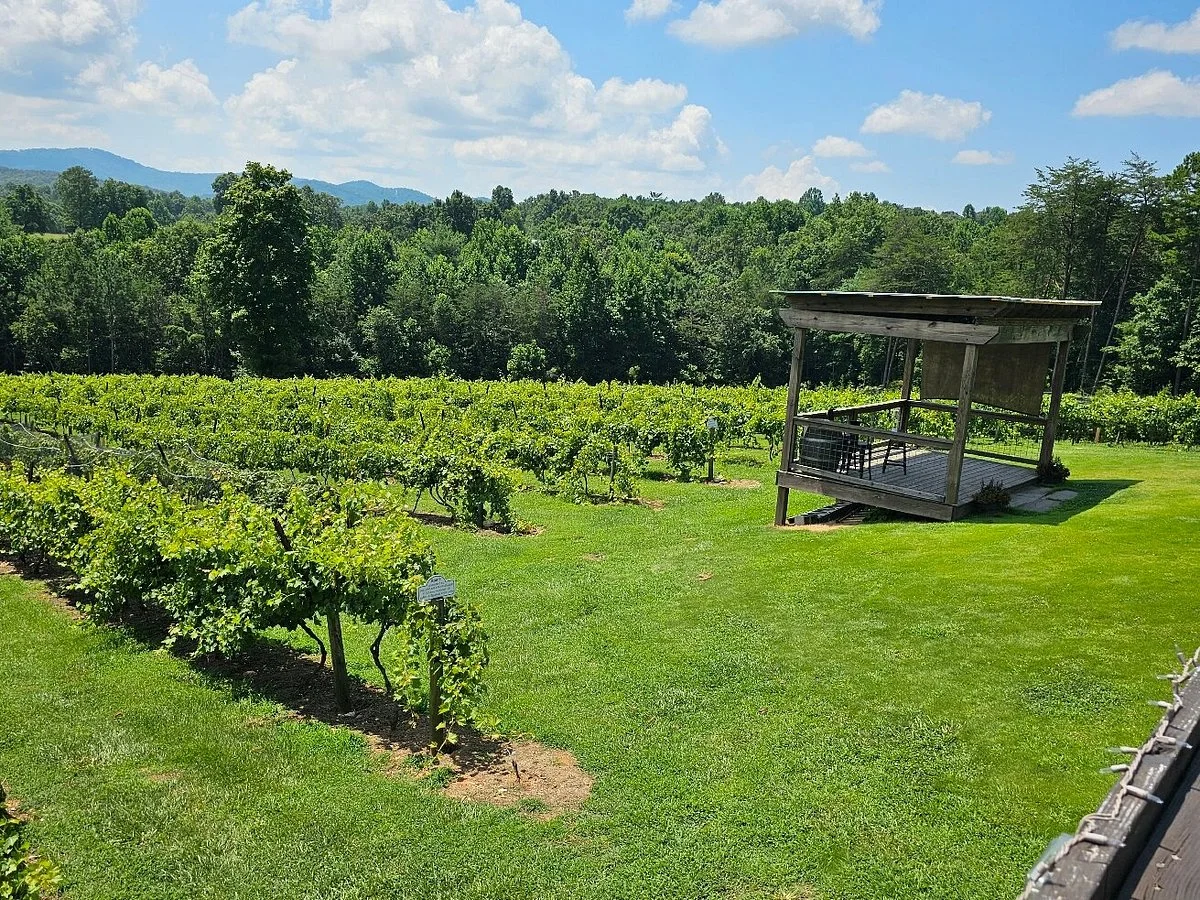 Ott Farms and Vineyard