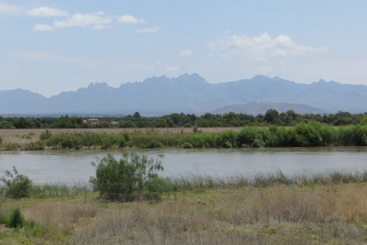 Mesilla Valley Bosque State Park